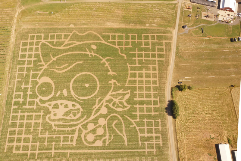 Illustration for article titled Spotted in Oregon: Real Five-Acre Plants Vs. Zombies Corn Maze
